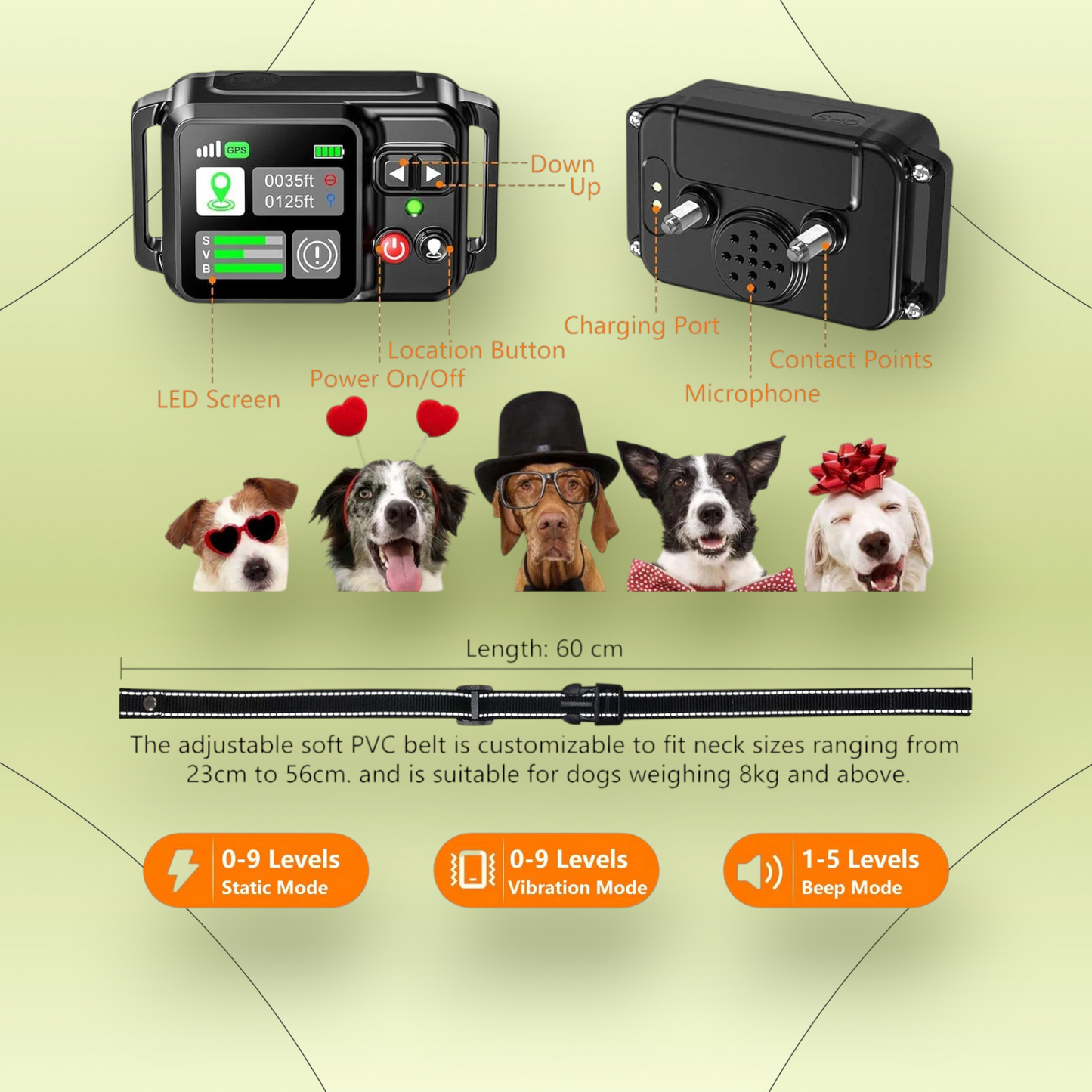 Collar con sistema de Alerta Inalámbrico & GPS