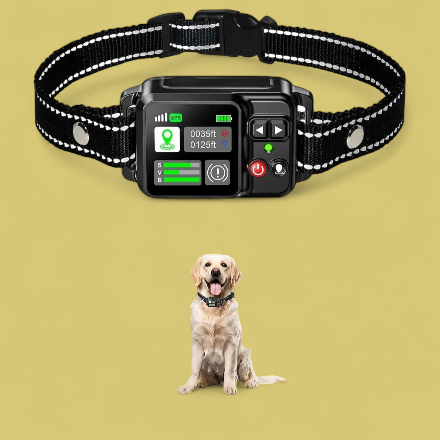 Collar con sistema de Alerta Inalámbrico & GPS