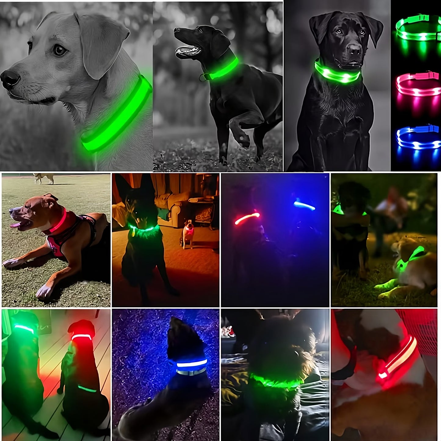 Collar LED Recargable para Perros