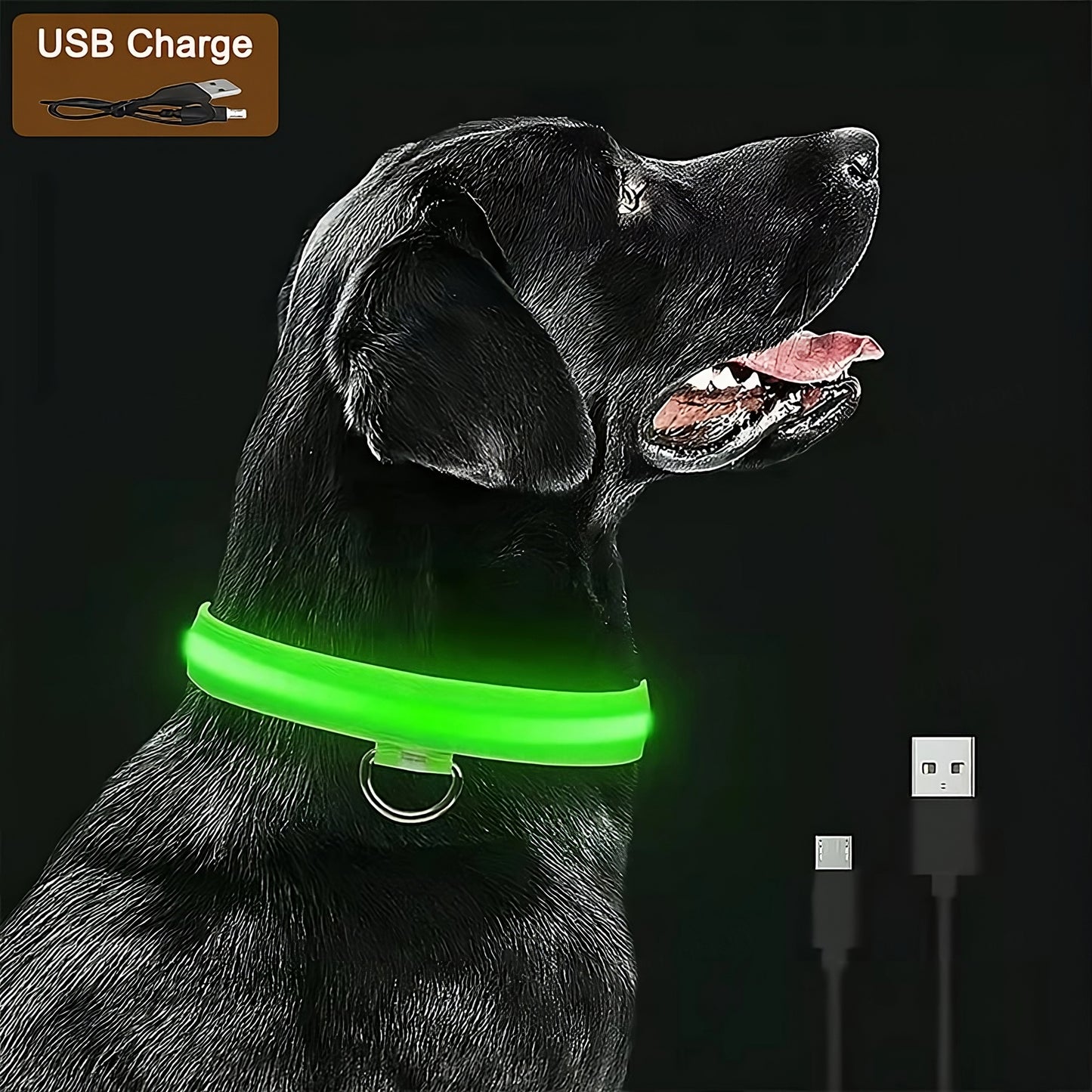 Collar LED Recargable para Perros