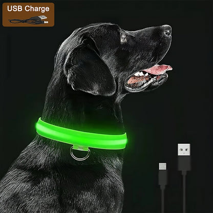 Collar LED Recargable para Perros