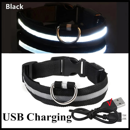 Collar LED Recargable para Perros