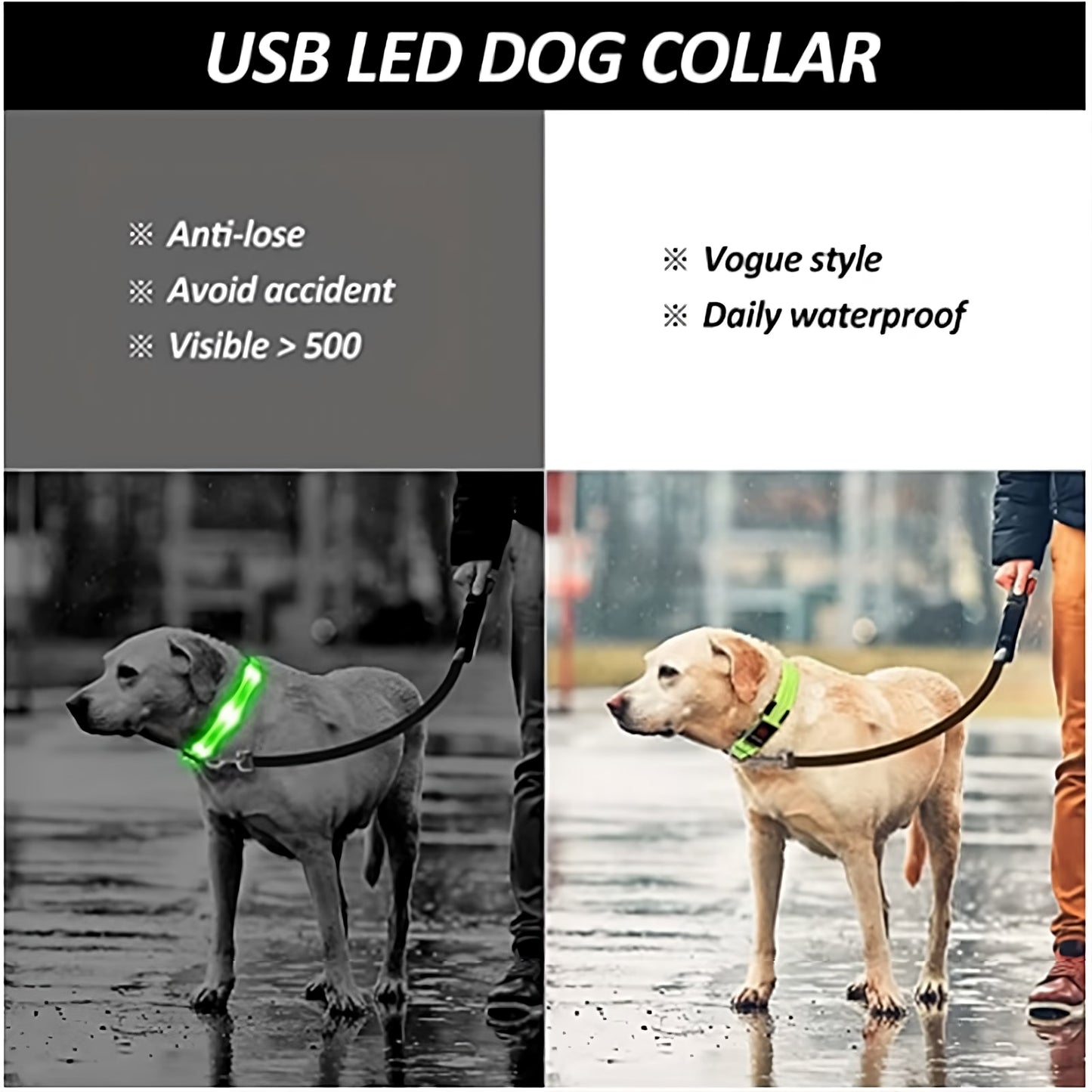 Collar LED Recargable para Perros