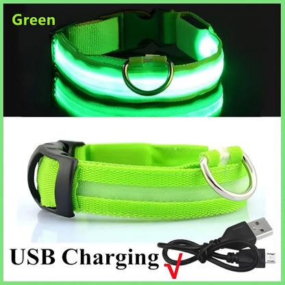 Collar LED Recargable para Perros