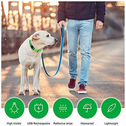 Collar LED Recargable para Perros