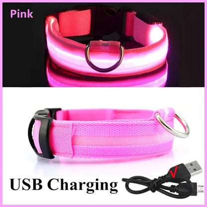 Collar LED Recargable para Perros
