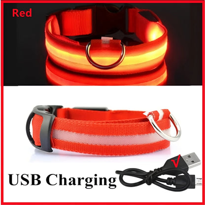 Collar LED Recargable para Perros